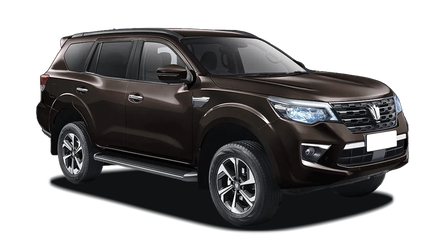 Oting Paladin Коричневый